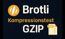 Thumb von Kompressionstest für Websites – GZIP & Brotli Analyse in Echtzeit